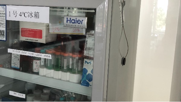 醫院里的樣本儲存柜到底在放什么?為啥一定要實時監測溫度變化呢?25.7.16