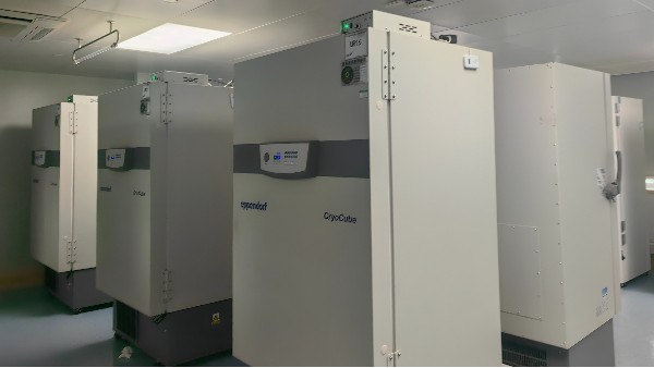 零下90度的超低溫冰箱里樣本能存活多久？答案取決于什么呢？25.5.26