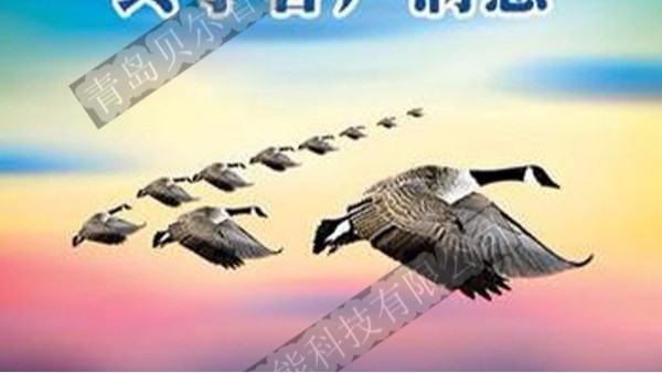 BEOL青島貝爾智能科技啟用SCRM系統(tǒng)2021.10.26