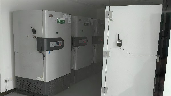 BEOL貝爾科技為您講述溫度監控在醫院GCP應用中的作用24.8.5